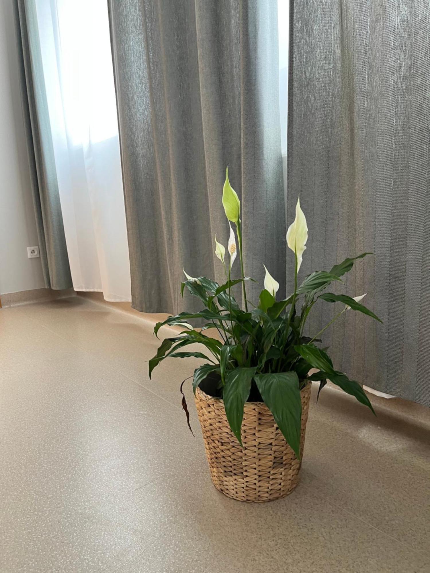 Osrodek Konferencyjno-Wypoczynkowy Vandrarhem Chojna Exteriör bild